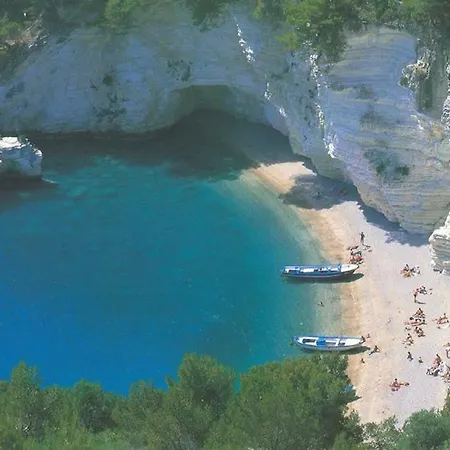 Gentile Vieste