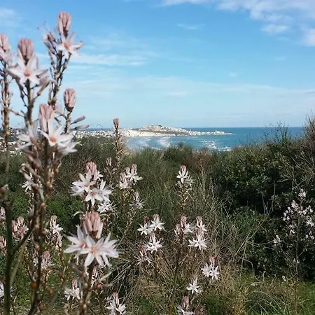 Gentile Casa di campagna